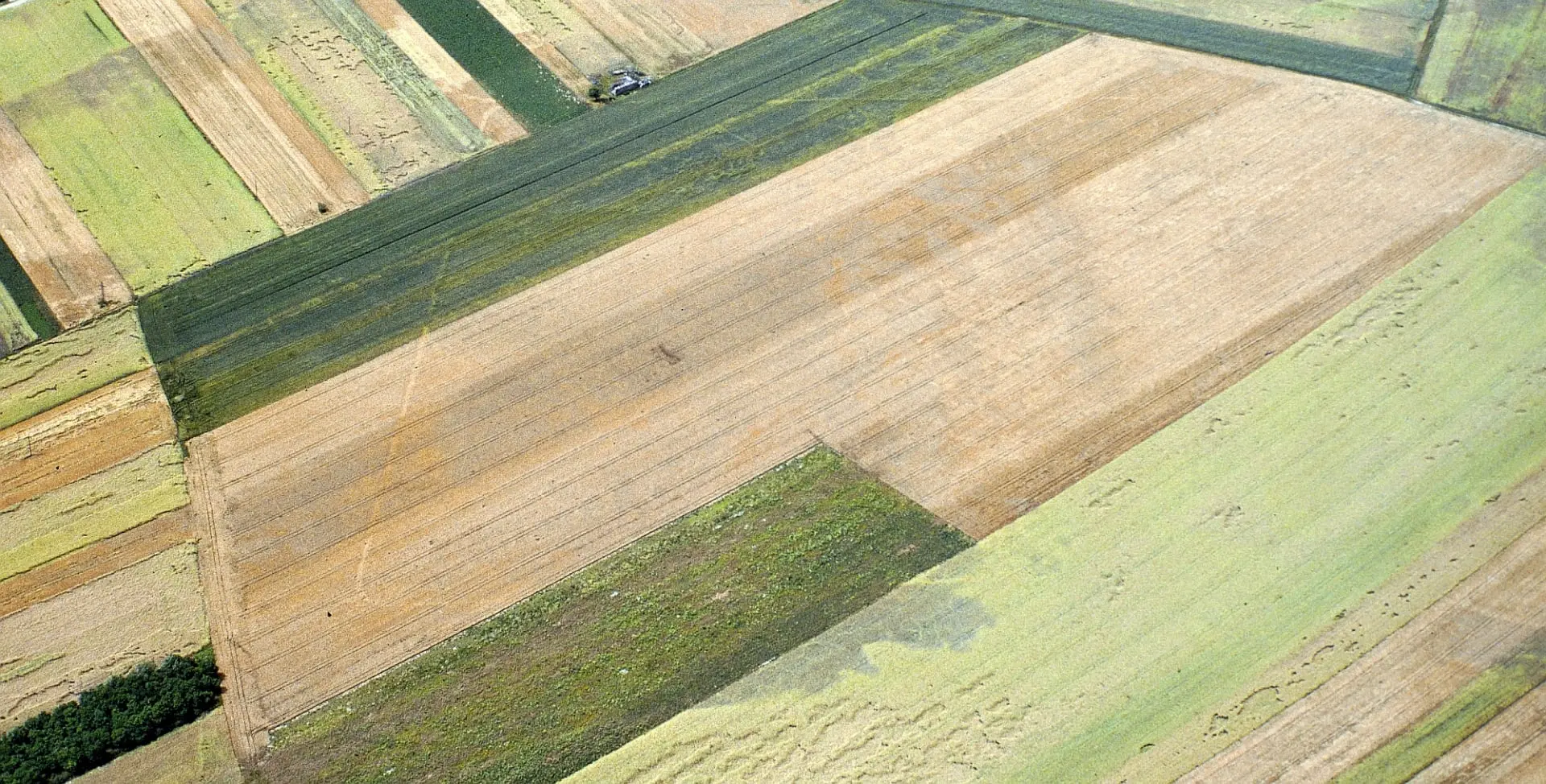 Grabungsdokumentation